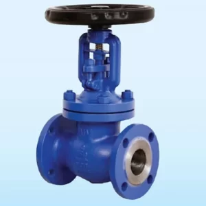 ANSI Standard Bellow Sealed Global Valve