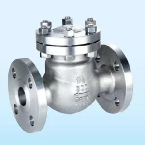 Swing Check Valve Flange End ANSI Class DIN