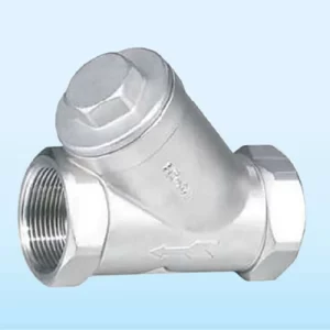 Y Strainer Thread End Socket Weld End