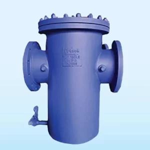 Basket Type Strainer