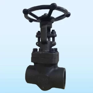 Forged Steel Gate Valve (Socket Welded Threaded)