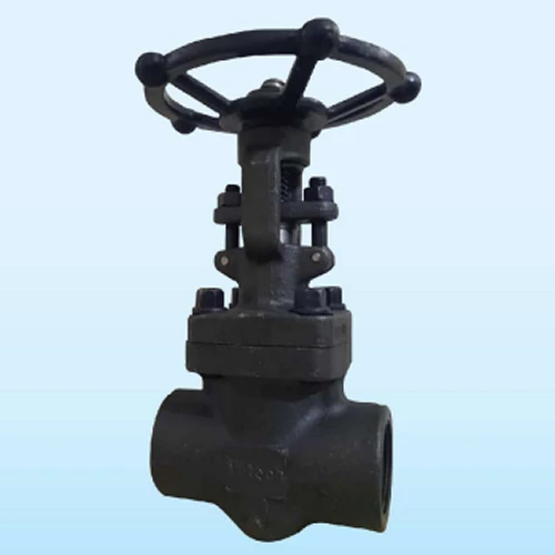 Forged Steel Gate Valve (Socket Welded Threaded)