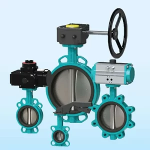 Lined Butterfly Valve